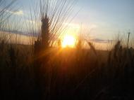 Черповоди з panoramio.com