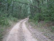 Лісна Поляна з panoramio.com