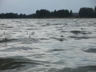 Городок з panoramio.com