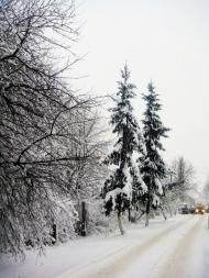 Дунаївці - Останні фото