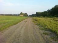 Сальник з panoramio.com