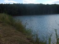 Лісна Поляна з panoramio.com