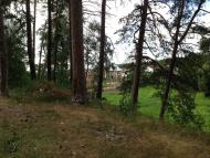 Горенка з panoramio.com - Горенка