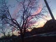 Чепа - Останні фото