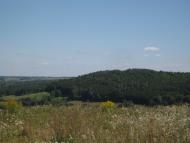 Суйми з panoramio.com