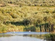 Тутовичі з panoramio.com