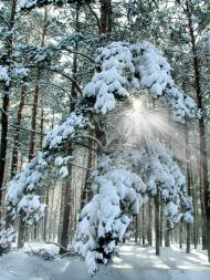 Ліпляве з panoramio.com