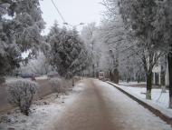 Пустомити з panoramio.com