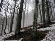 Березники з panoramio.com