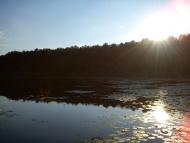 Турійськ з panoramio.com