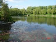 Городище з panoramio.com