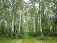 Усове з panoramio.com