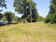 Рогізна з panoramio.com