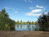 Соснівка з panoramio.com