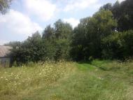 Терехівка з panoramio.com