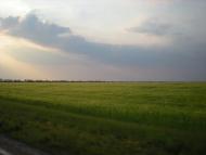 Степне - Останні фото