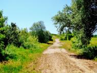 Козацьке з panoramio.com