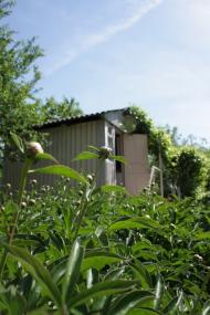 Дмитрівка з panoramio.com