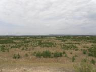 Житлівка з panoramio.com