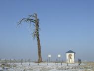 Угнів з panoramio.com