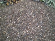 Пересипки з panoramio.com