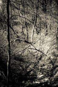 Харківці з panoramio.com