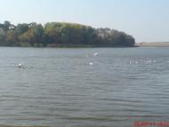 Полонне з panoramio.com