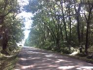 Оникієве з panoramio.com