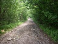 Ярок з panoramio.com