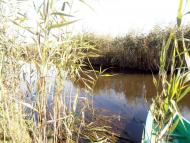 Щедрогір з panoramio.com