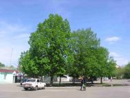 Пісківка з panoramio.com