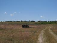 Осокорівка з panoramio.com