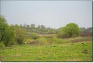 Семенівка з panoramio.com