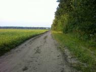 Сальник з panoramio.com