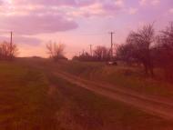 Нова Дмитрівка - Останні фото