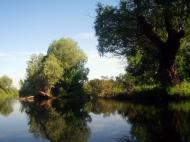 Кононча з panoramio.com