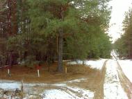 Крута Гора з panoramio.com