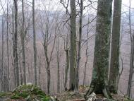 Березники з panoramio.com