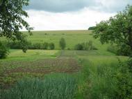 Северинівка з panoramio.com