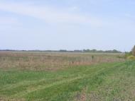 Юрівка - Останні фото