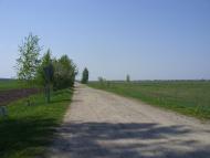 Свидники з panoramio.com