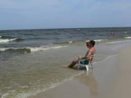 Боровиця - Останні фото