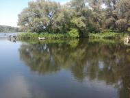 Придніпровське з panoramio.com