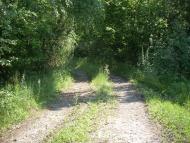 Ярок з panoramio.com