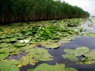 Кушугум з panoramio.com