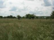 Ясногородка з panoramio.com