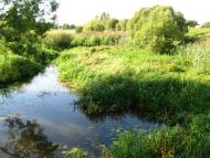 Берестовець з panoramio.com