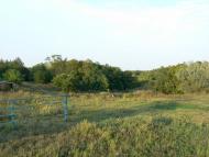 Куйбишеве з panoramio.com