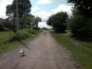 Чернихів з panoramio.com