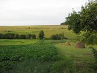 Северинівка з panoramio.com